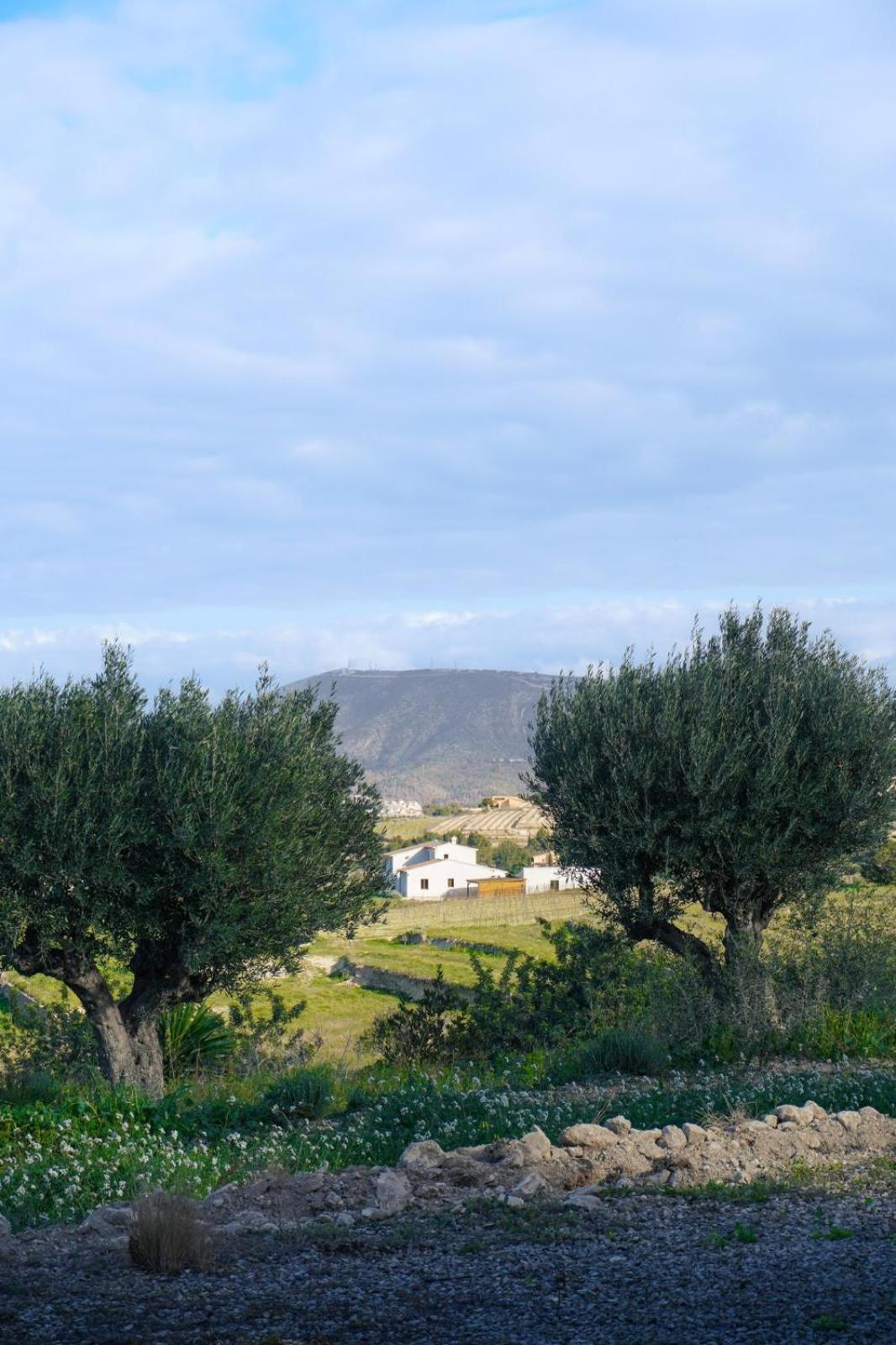 Hotel Finca Olivar Бениса Экстерьер фото