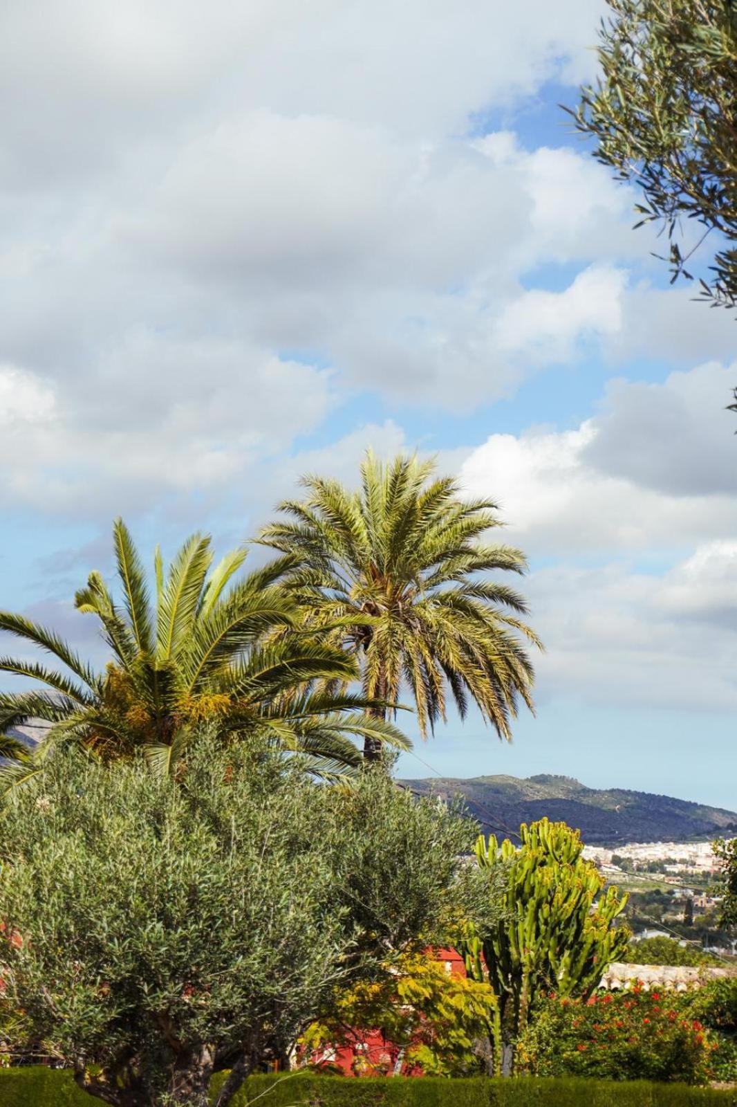 Hotel Finca Olivar Бениса Экстерьер фото