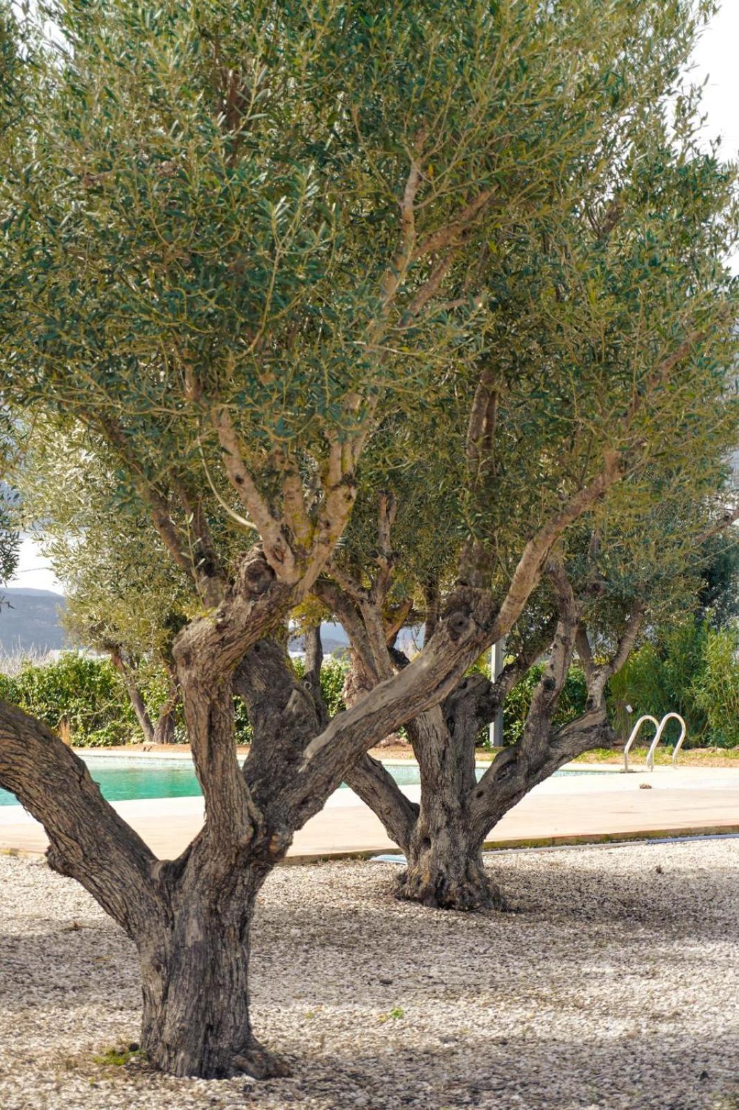 Hotel Finca Olivar Бениса Экстерьер фото