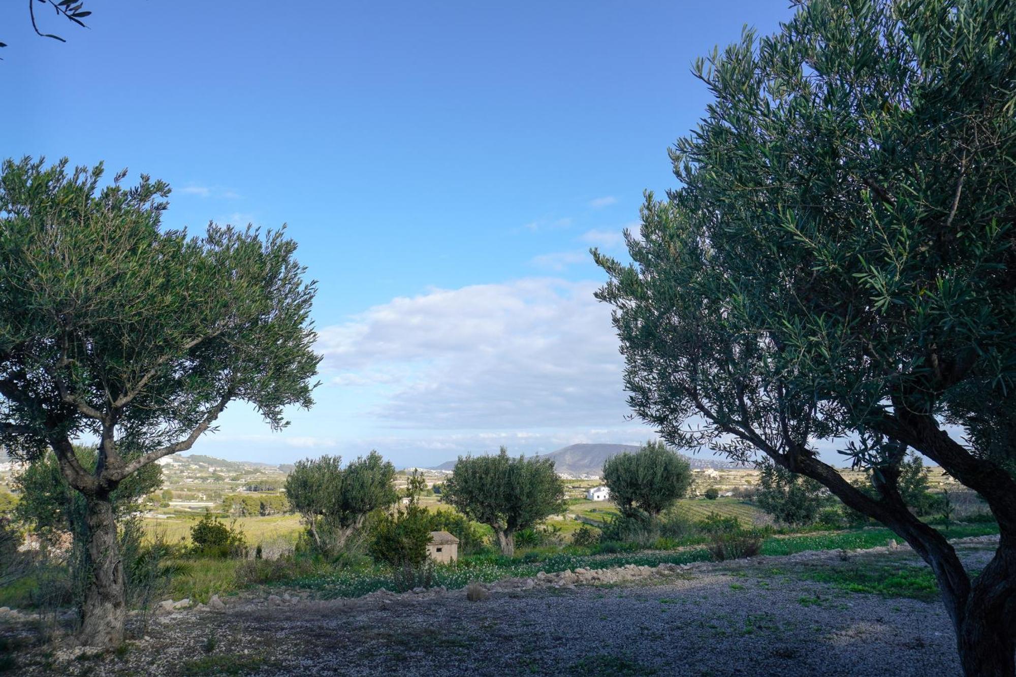 Hotel Finca Olivar Бениса Экстерьер фото