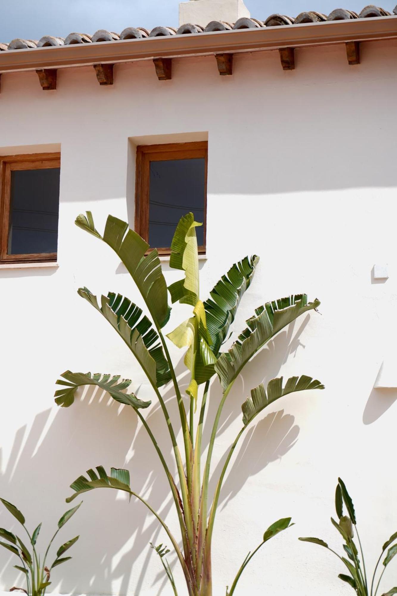 Hotel Finca Olivar Бениса Экстерьер фото